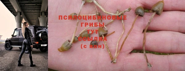 прущий лед Нефтегорск