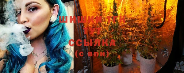 спиды Нефтекумск
