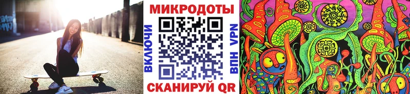МЕГА ТОР цена наркотик Петровск-Забайкальский Псилоцибиновые грибы MAGIC MUSHROOMS